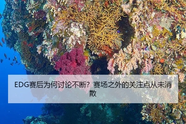 sai-hou-wei-he-tao-lun-bu-duan-sai-chang-zhi-wai-de-guan-zhu-dian-cong-wei-xiao-san-2-894.jpg